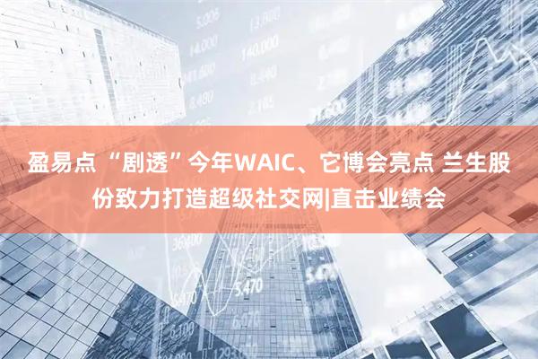 盈易点 “剧透”今年WAIC、它博会亮点 兰生股份致力打造超级社交网|直击业绩会