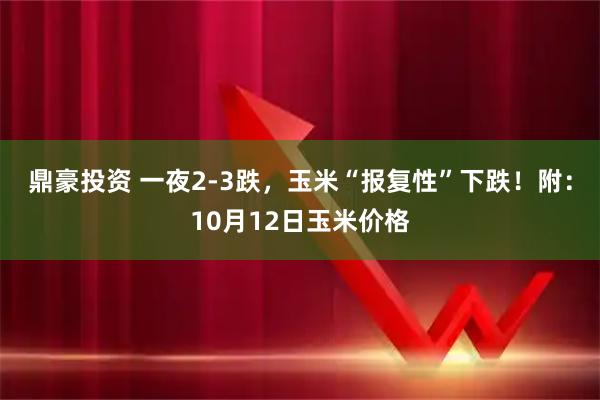 鼎豪投资 一夜2-3跌，玉米“报复性”下跌！附：10月12日玉米价格