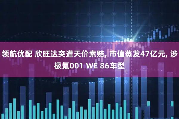 领航优配 欣旺达突遭天价索赔, 市值蒸发47亿元, 涉极氪001 WE 86车型