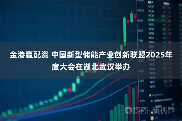 金港赢配资 中国新型储能产业创新联盟2025年度大会在湖北武汉举办